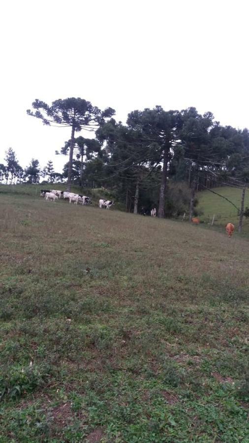Cantinho Do Sossego Urubici Kültér fotó