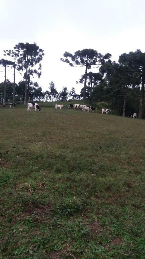 Cantinho Do Sossego Urubici Kültér fotó
